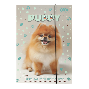 Папка для праці та зошитів DOG, картонна, на гумці А4 (225x316мм), KIDS Line ZB.14940-22 фото