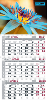 Календар настінний квартальний на 2026 р. (3 пружини) квіти BM.2105.4 фото