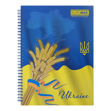 Зошит для нотаток А4, 96 арк., пружина, кл., тв. лам. палітурка BM.2432 фото