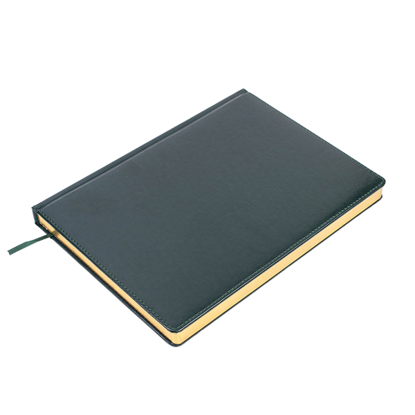 Щоденник недат. BRAVO, L2U, А4, зелений, штуч.шкіра/поролон, 336 стор. BM.20970-04 фото