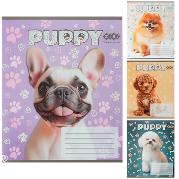 Зошит учнівський шкільний DOGS, 12 арк., коса, KIDS LINE ZB25.1753C фото