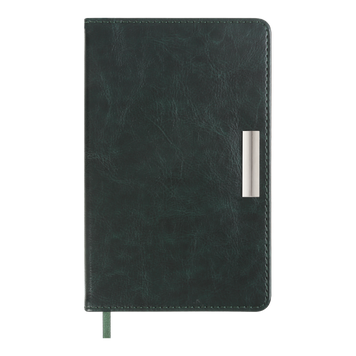 Щоденник недат. SALERNO, A6, зелений, штучна шкіра BM.2603-04 фото
