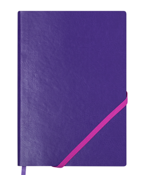 Блокнот діловий LOLLIPOP, L2U, А5, 96 арк., клітинка, фіолетовий, шт.шкіра BM.295103-07 фото