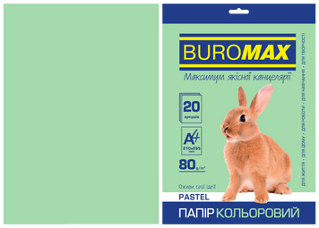 Бумага цветная PASTEL, св.-зеленая, 20 л., А4, 80 г/м&sup2; BM.2721220-15 фото