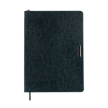 Щоденник недат. SALERNO, L2U, А4, зелений, штуч.шкіра, 336 стор BM.20990-04 фото
