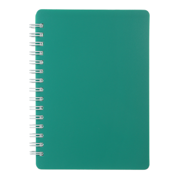 Тетрадь для записей CLASSIC, А6, 80 л., клетка, пластиковая обложка, зеленая BM.2589-004 фото