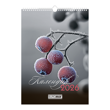 Календар настінний 2026 р., А3, 1 пружина, Emphasis on color BM.210602 фото