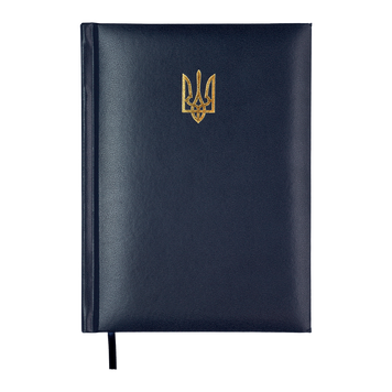 Щоденник недат. POWERFUL, A5, темно-синій, бумвініл/поролон, 336 стор BM.20710-03 фото