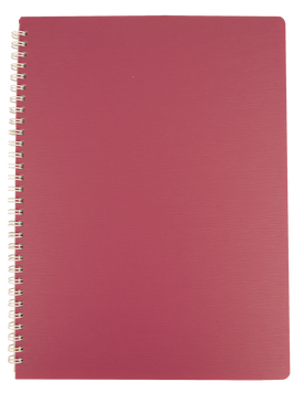 Тетрадь для записей BARK А4, 60 л.,клетка, пластиковая обложка, малиновая BM.24454154-29 фото